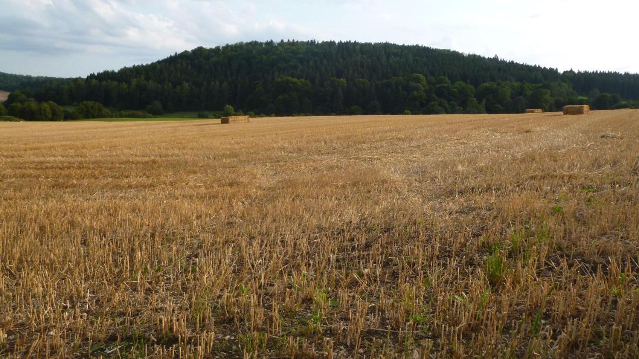 Ferienhaus Unteres Hart Gomadingen エクステリア 写真